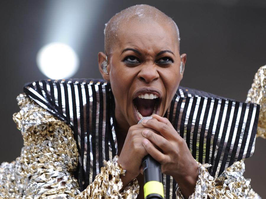 Skunk Anansie zawiesili działalność w 2001 roku. Wrócili dziewięć lat później płytą "Wonderlustre"