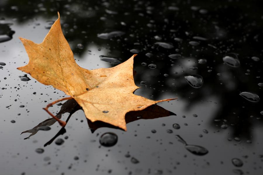 6. "Rain for Sleep" – Rain Sounds