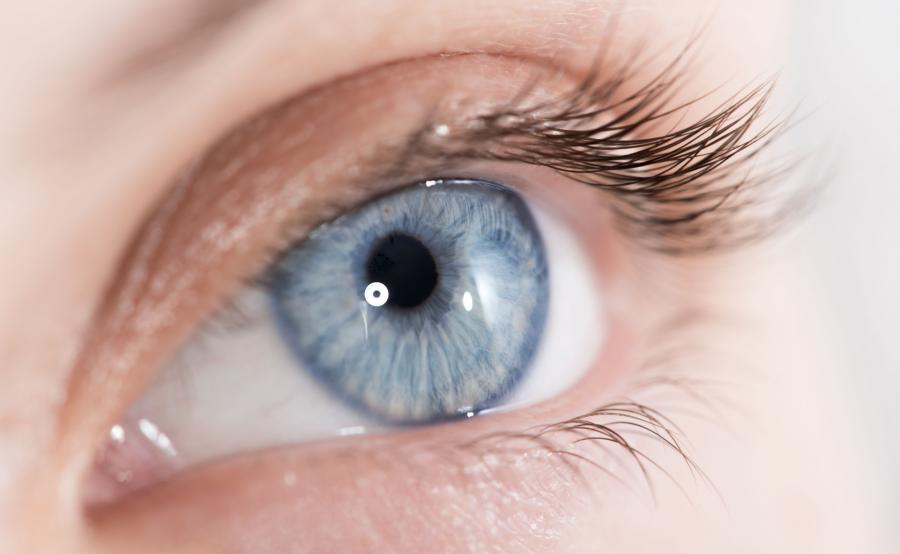 Oko-sama Box Scan Vf Jak widzi oko? Eksperci tłumaczą - Oczy - Zdrowie w Dziennik.pl dziennik.pl